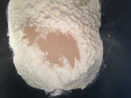 パンケースに粉と酵母を入れる
